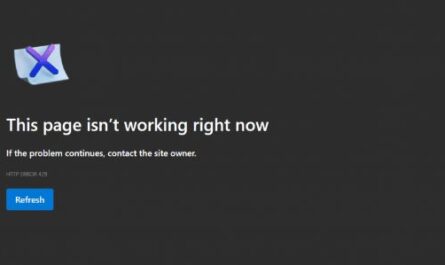 Ошибка HTTP 429: что ее вызывает и как ее исправить?